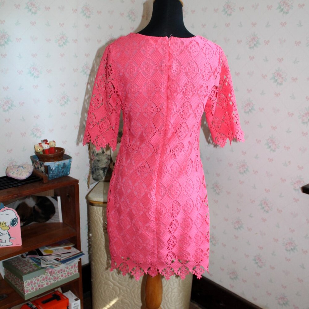 ALYA Salmon Pink Lace Overlay Dress, Small - Picture 5 of 9